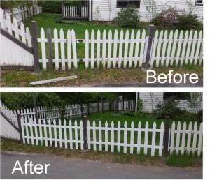 Fence - Before and After